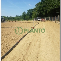 1548763381149_1806_Planto Sadnja_HR_3.jpg